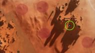 Representative Amadi Ikeni can be located within the Anvil Tradepost (Image via Funcom)